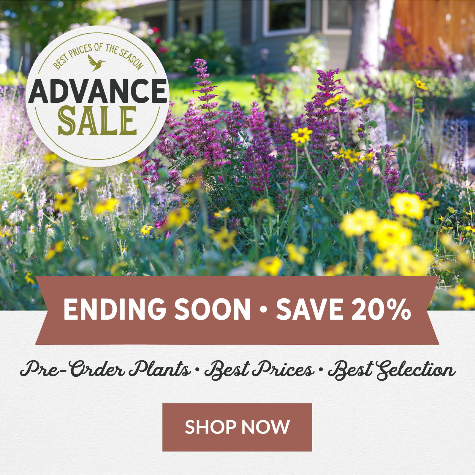 Advance Sale Ending Soon