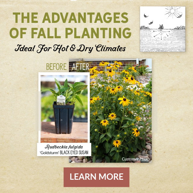 the advantages of fall planting