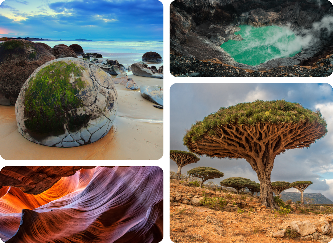 Wonders of Nature