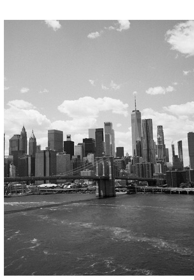 SUMMER IN THE CITY