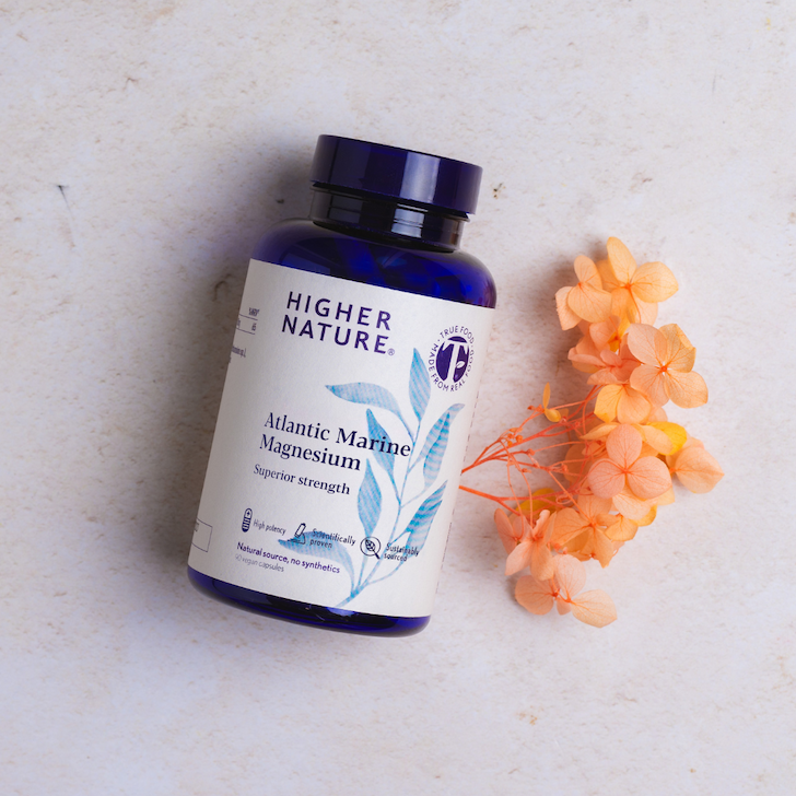 why magnesium matters