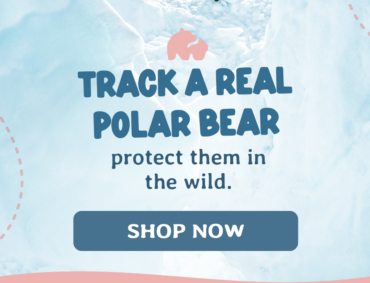 Polar bears are back, but not sore much longer. This offer ends tonight!