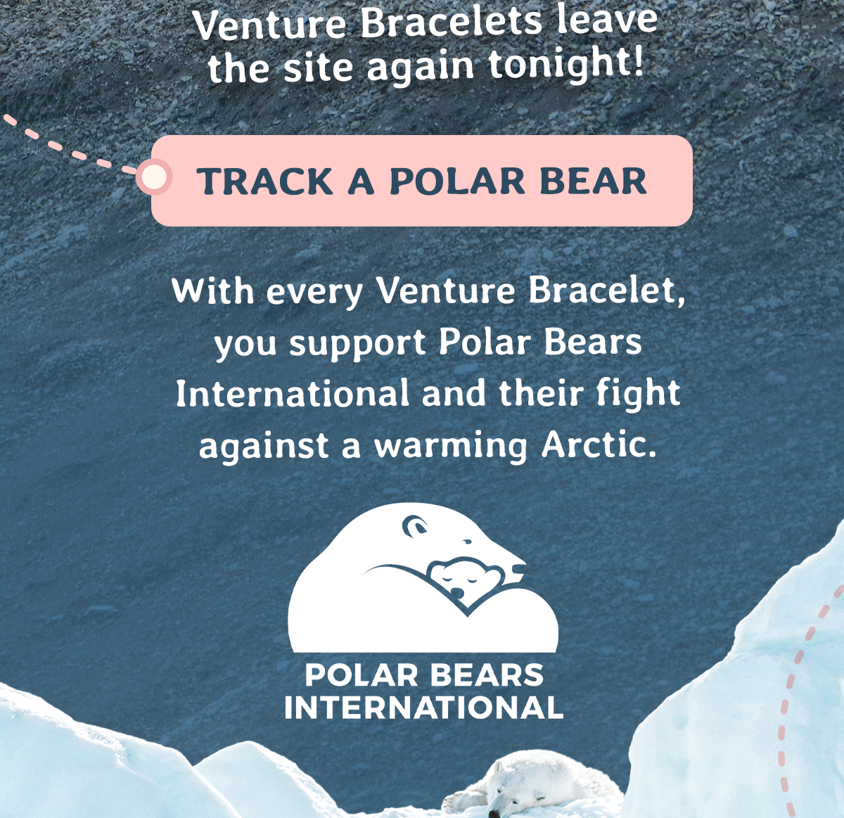 Venture Bracelets leave the site again tonight and you only have 12 hours left to claim yours. Track a real polar bear and support Polar Bears International before they are gone.