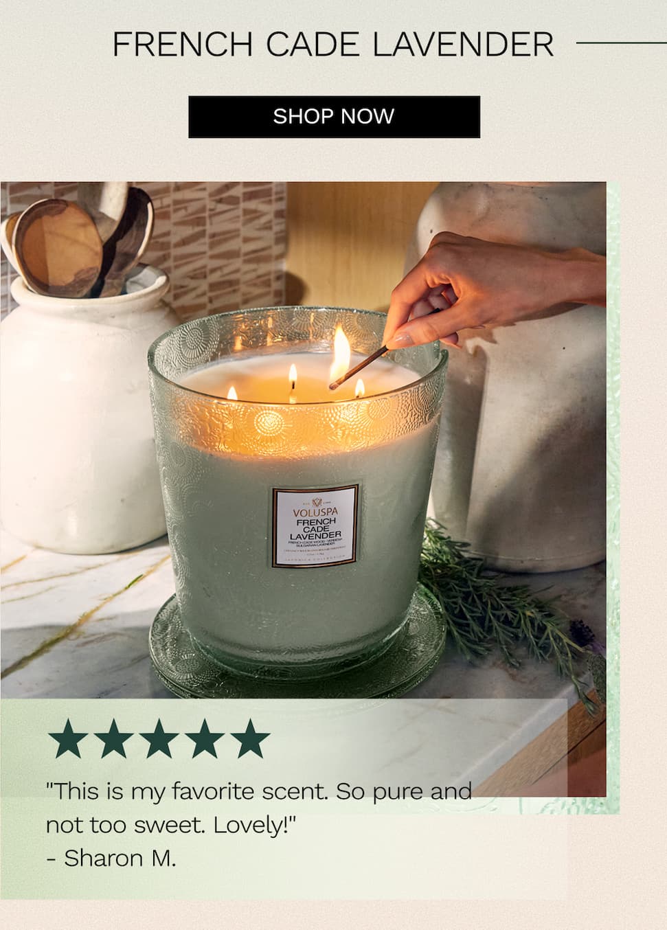 French Cade Lavender. Shop now.