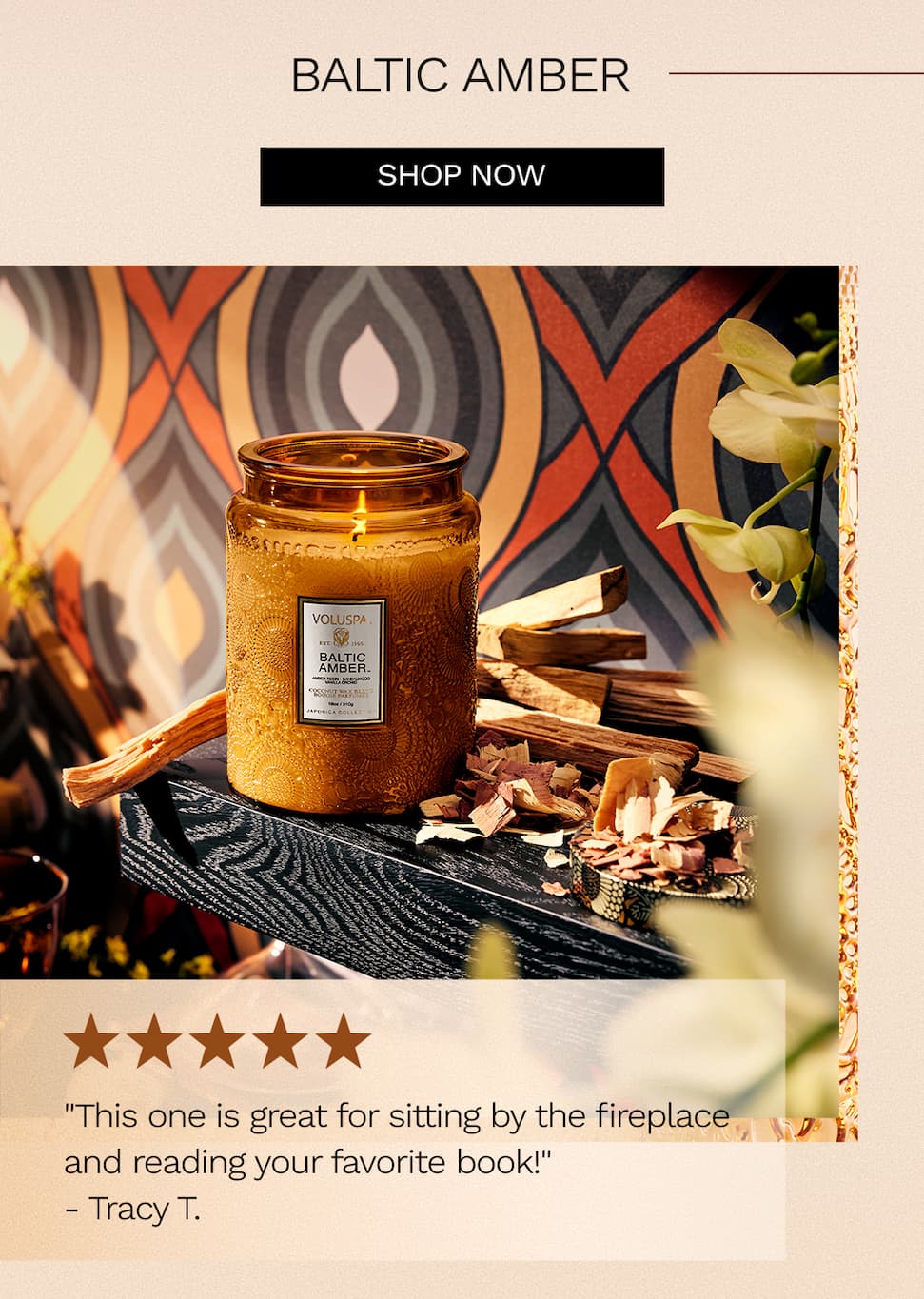 Baltic Amber. Shop now.
