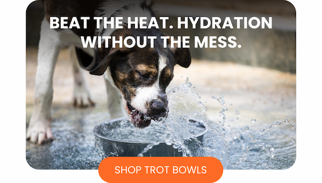 Beat the heat. Hydration without the mess.
