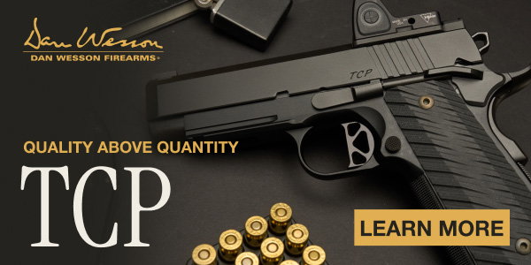 Dan Wesson TCP on GunBroker.com