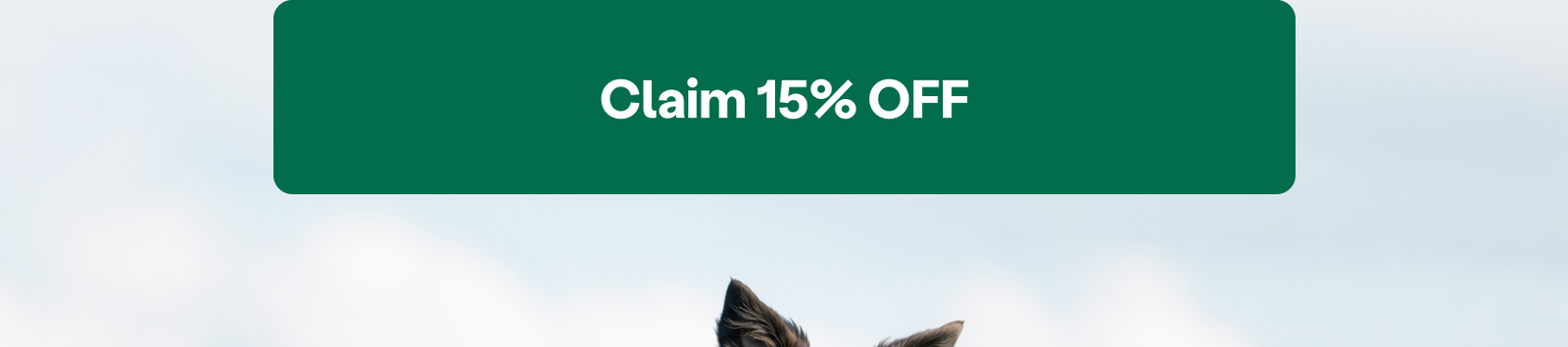  Claim 15% OFF 