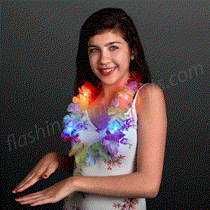 LED Rainbow Leis