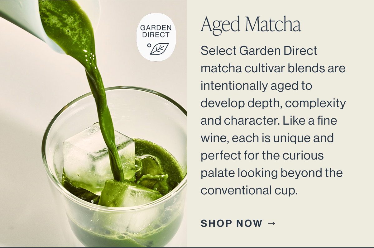 Aged Matcha  Select Garden Direct matcha cultivar blends are intentionally aged to develop depth, complexity and character. Like a fine wine, each is unique and perfect for the curious palate looking beyond the conventional cup.  SHOP NOW →