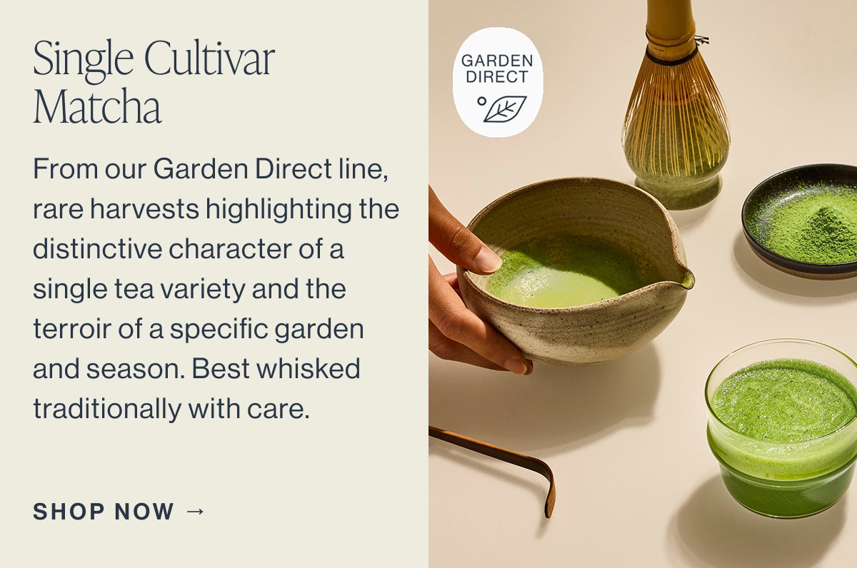 Single Cultivar Matcha  From our Garden Direct line, rare harvests highlighting the distinctive character of a single tea variety and the terroir of a specific garden and season. Best whisked traditionally with care.  SHOP NOW →