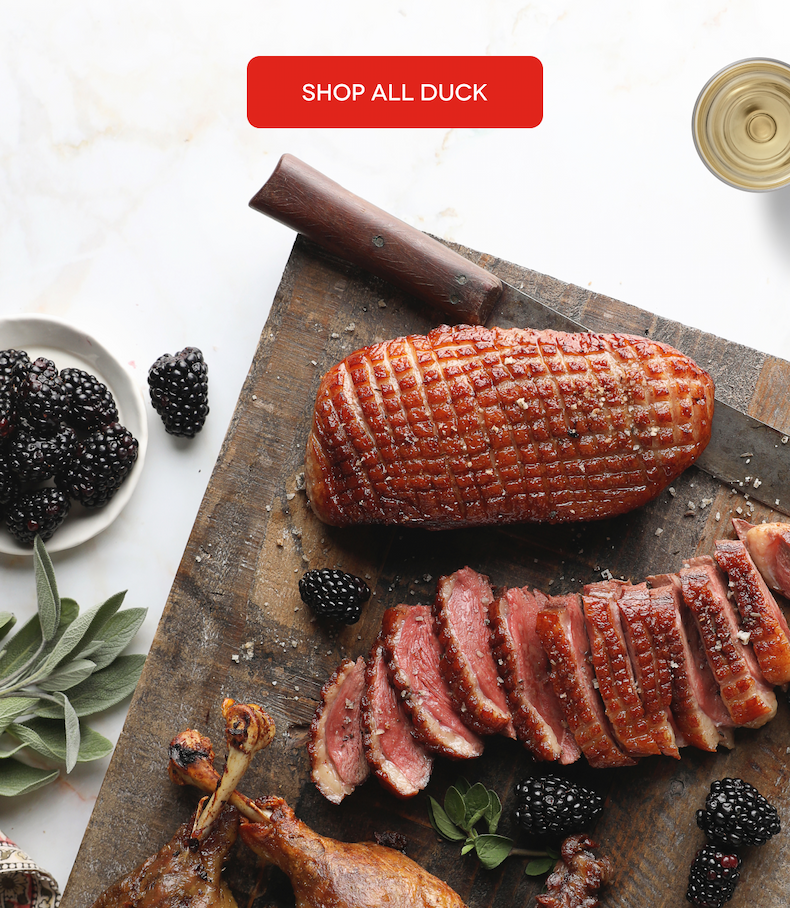 SHOP ALL DUCK