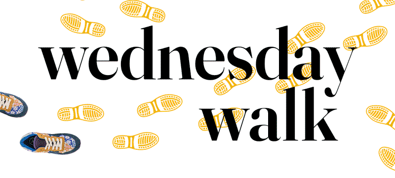 Walking Shoes