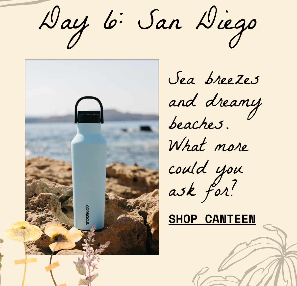 Shop Sport Canteen for beach travels