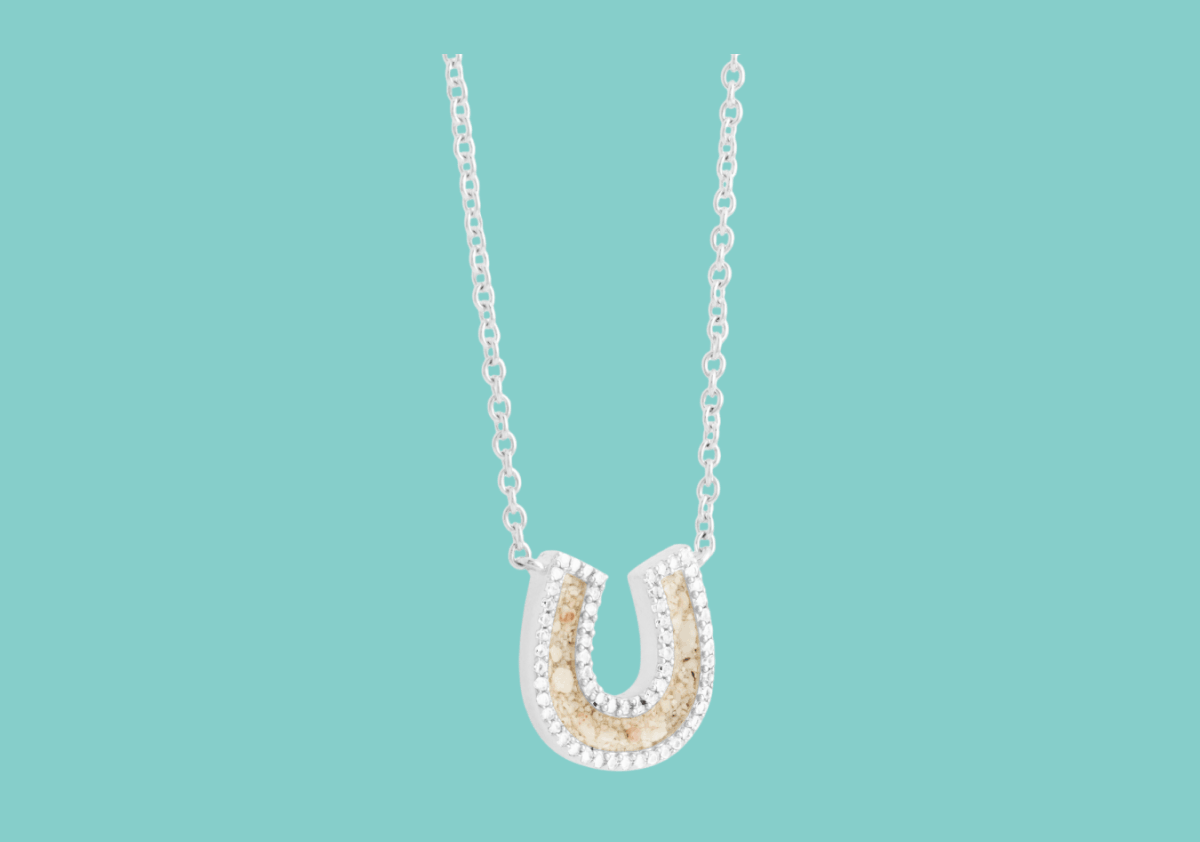 Horseshoe Necklace