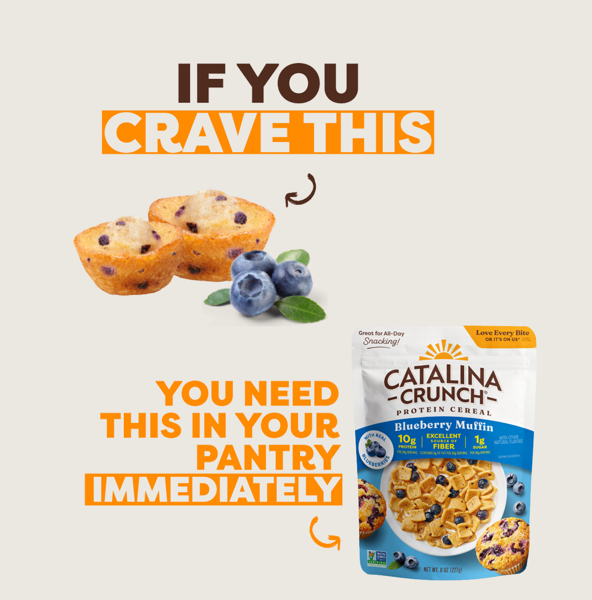 Blueberry Muffin Protein Cereal
