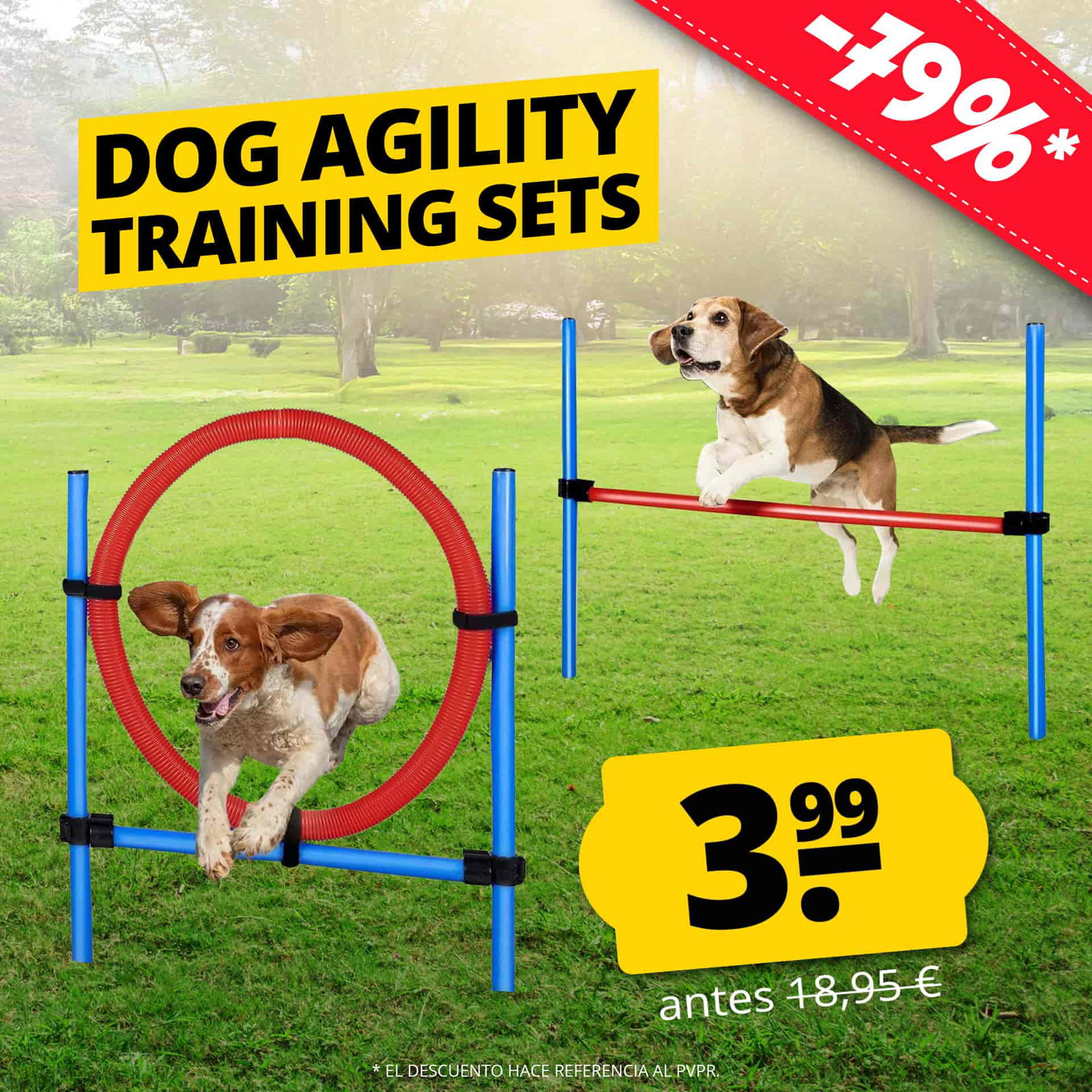 maxxpro agilidad spring stick conjunto agilidad para perros