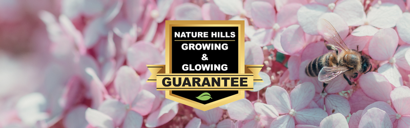 Close up of a bee on a bright pink hydrangea bloom with a badge featuring the Growing & Glowing Guarantee 
