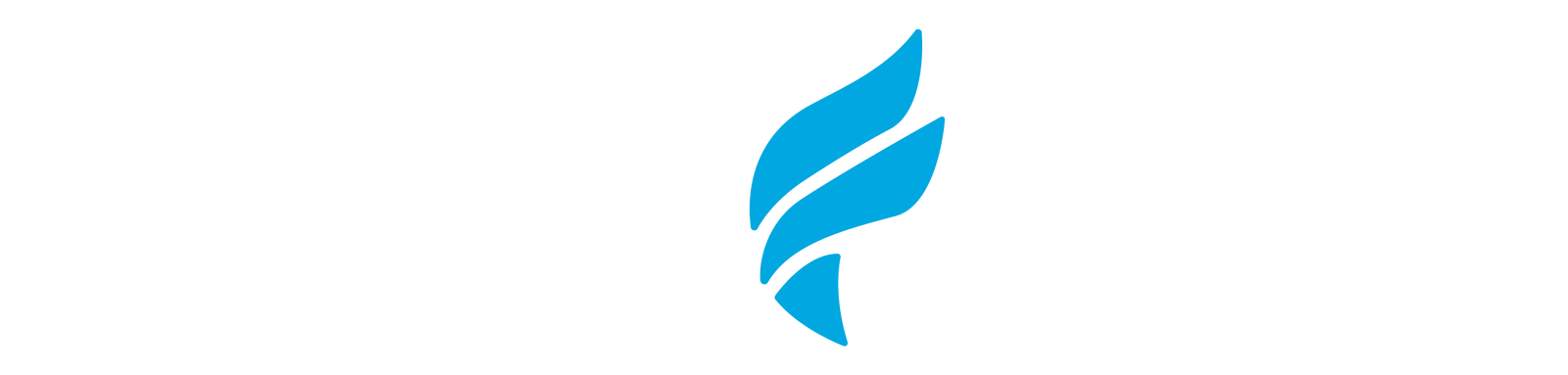 Fleet Feet