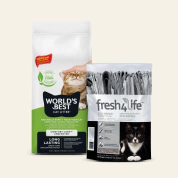 cat litter