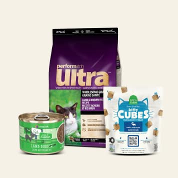 cat food and treats