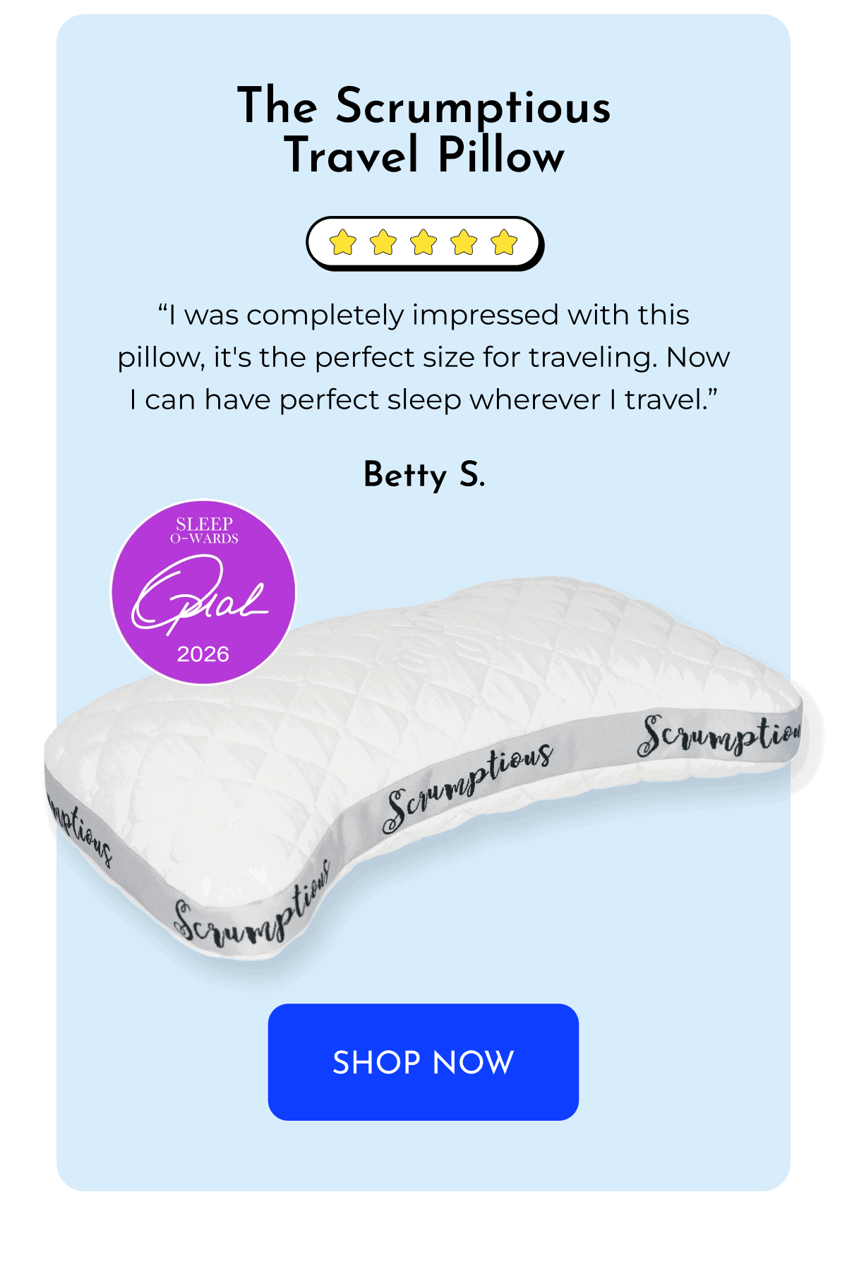 The Scrumptious Travel Pillow