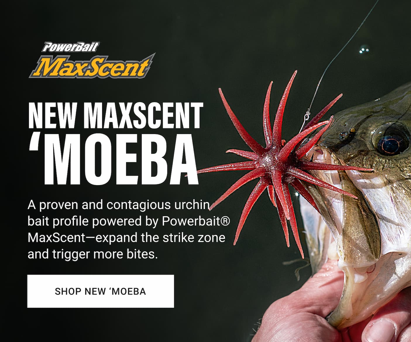Powerbait Maxscent Moeba