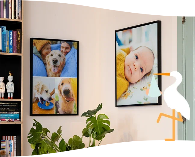 Your walls want company