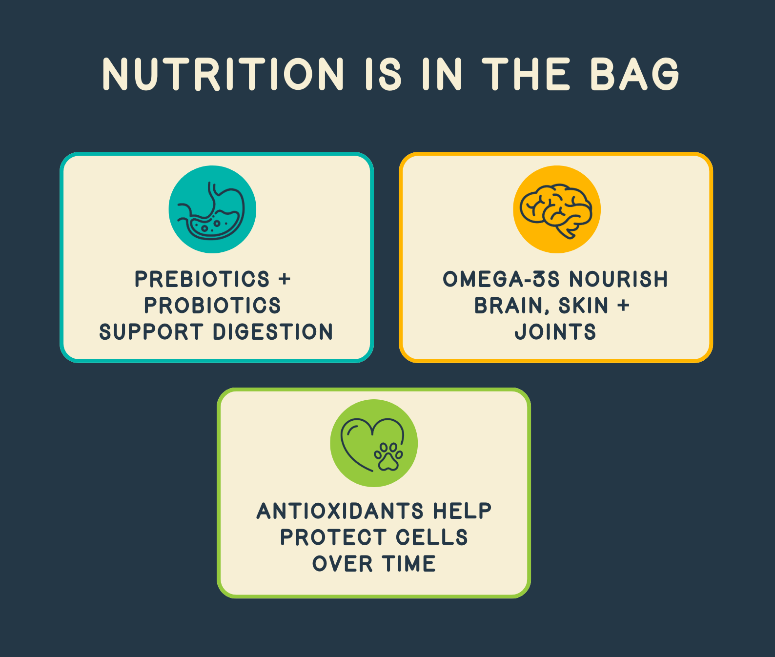 Nutrition is in the bag. Prebiotics + Probiotics support digestion, Omega-3s nourish brain, skin + joints, Antioxidants help protect cells over time.