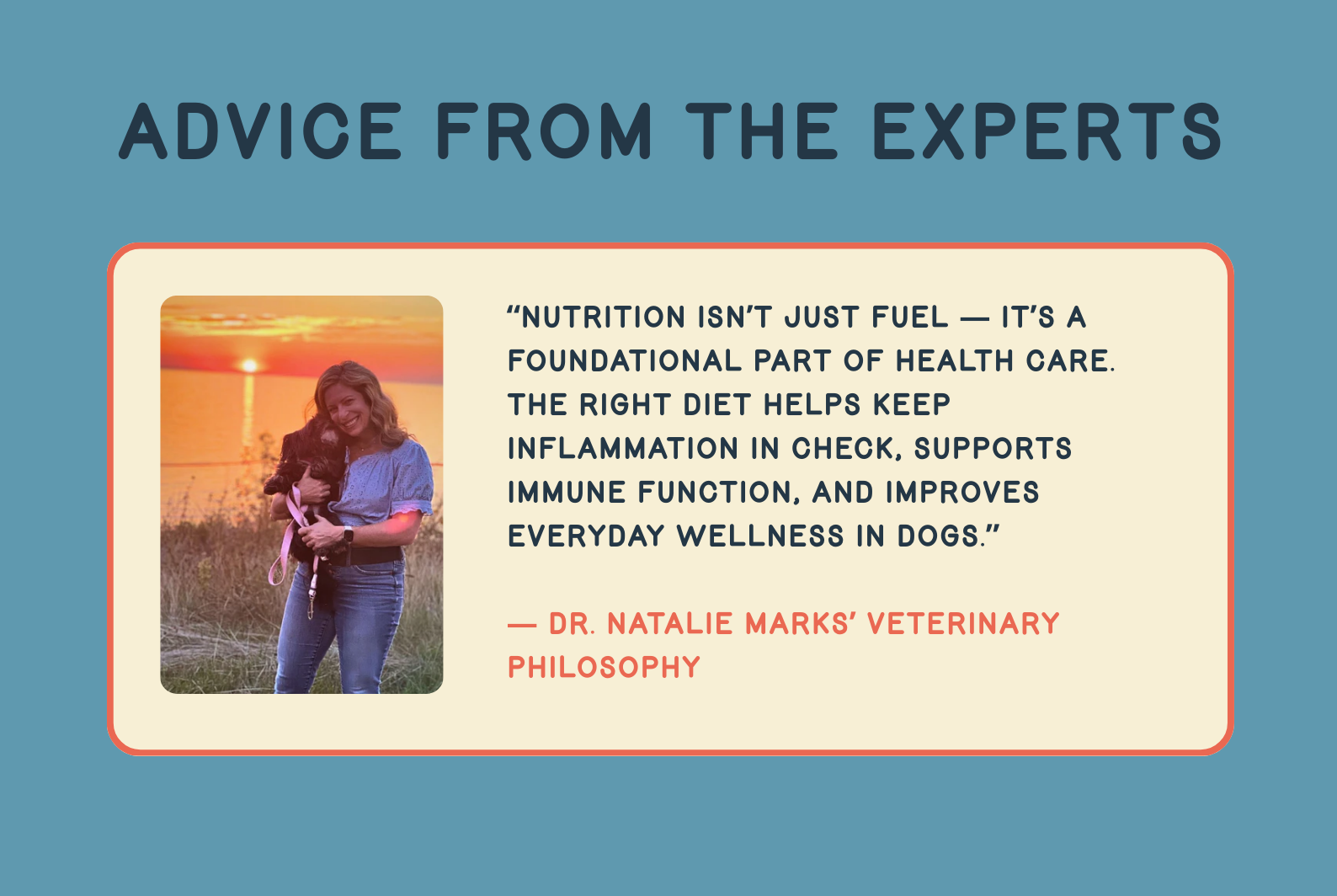Advice from the experts. “Nutrition isn’t just fuel — it’s a foundational part of health care. The right diet helps keep inflammation in check, supports immune function, and improves everyday wellness in dogs.”  — Dr. Natalie Marks’ veterinary philosophy