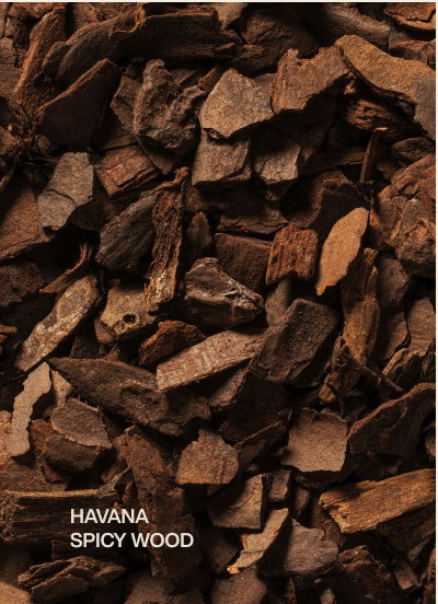 havana | spicy wood