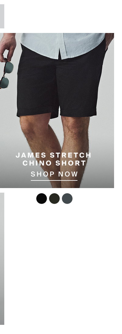 James Stretch Chino Short