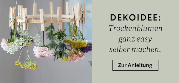 DIY-BLOG: Trockenblumen ganz easy selber machen!