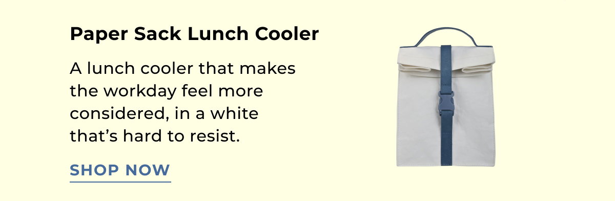 Paper Sack Lunch Cooler