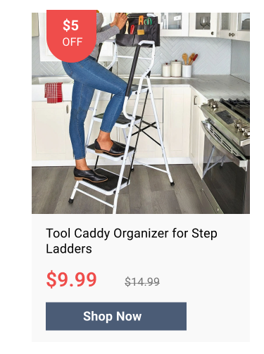 Tool caddy organizer for step ladders