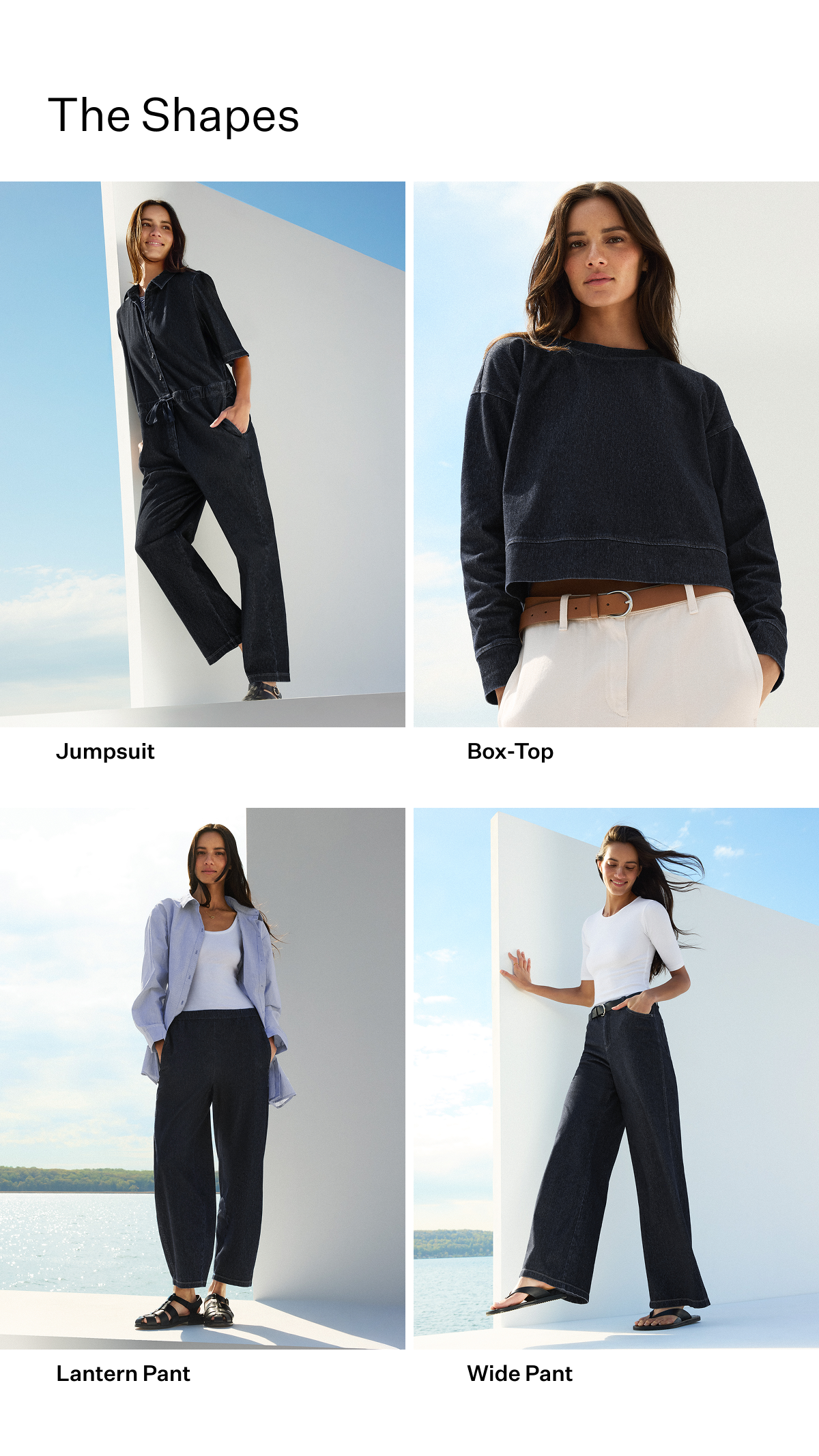 The Shapes