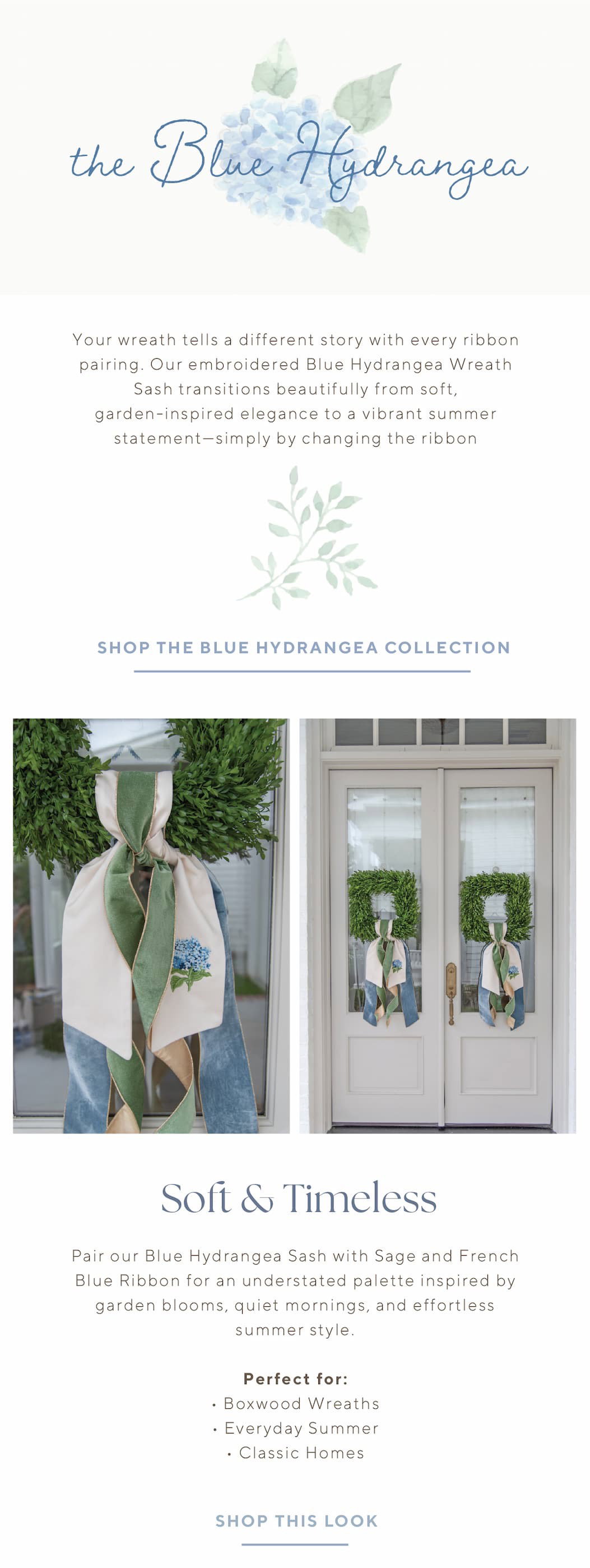 The Blue Hydrangea