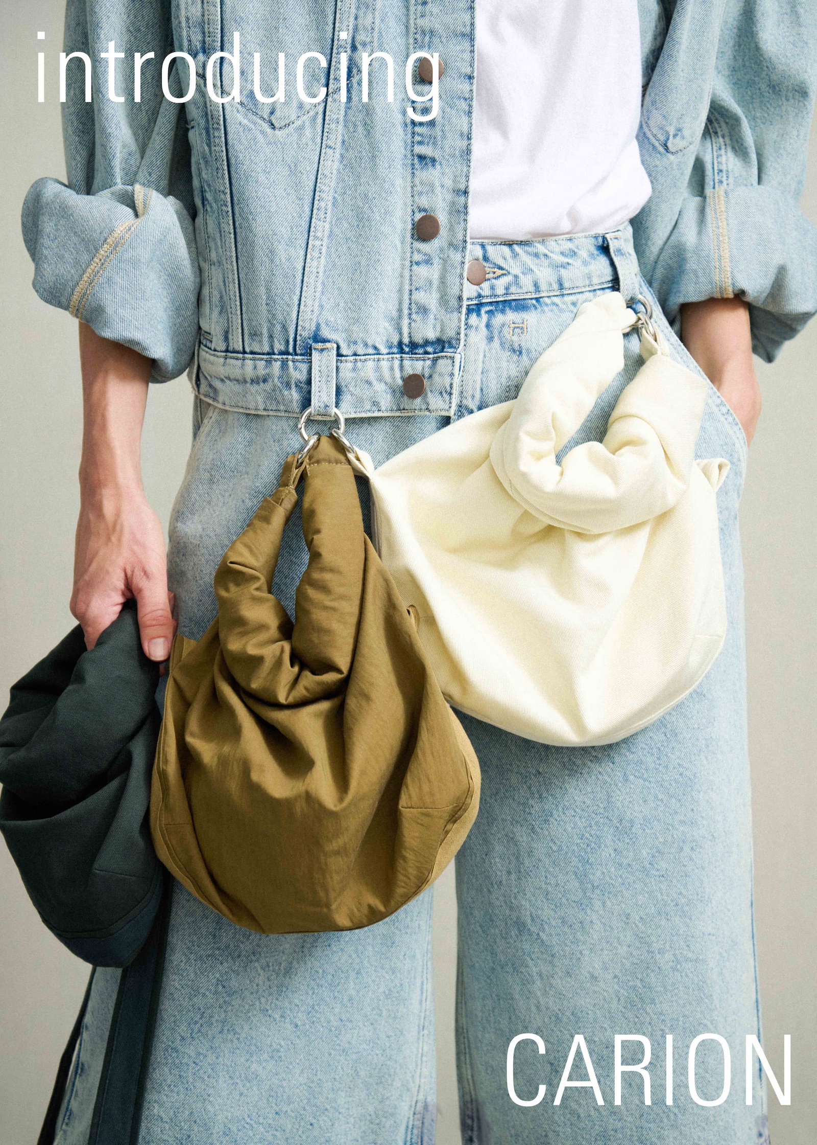 carion bag