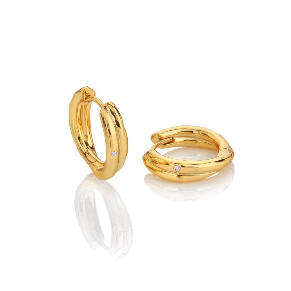 Image of HD X Golden Edit Aura Hoop Earrings