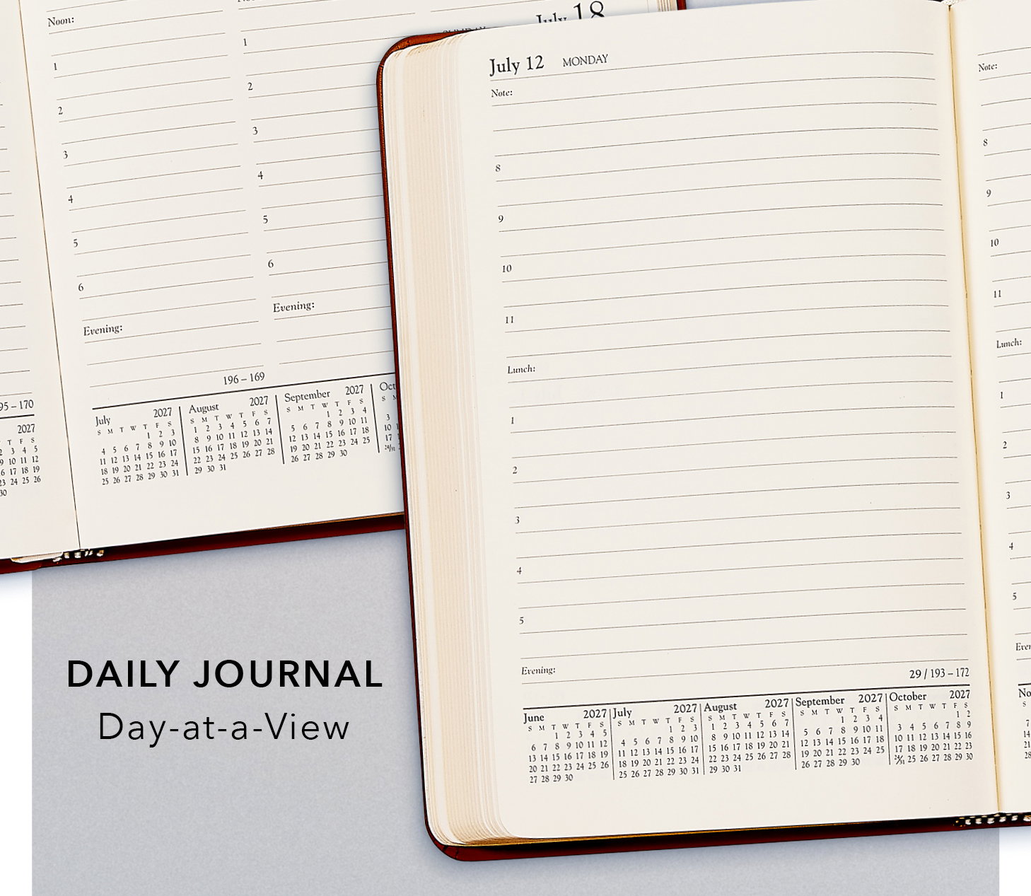 Daily Journal, Day-at-a-View