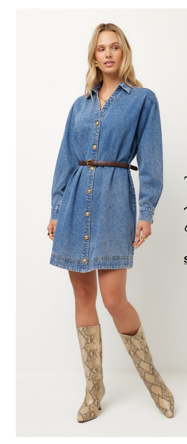 Sade Belted Shirtdress