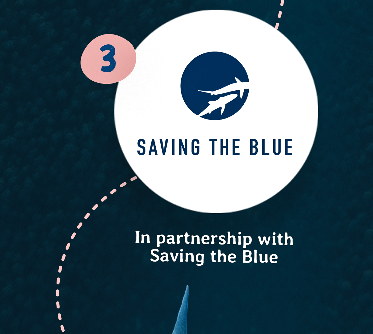 In partnership with Saving the Blue, the Hammerhead Tracking Plush is back for Shark Month and available for a limited time only. Track a real hammerhead, follow their path on an interactive map, and hug this one at home.