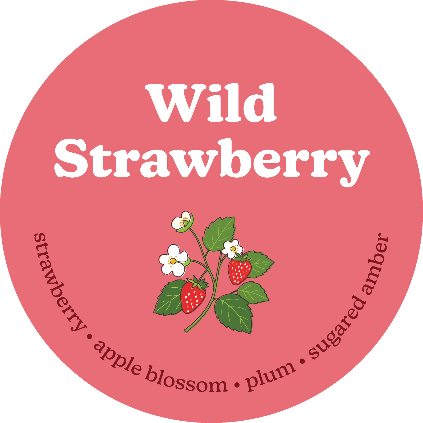Image of Wild Strawberry Wax Melts