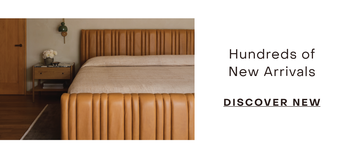 Hundreds of New Arrivals Discover New