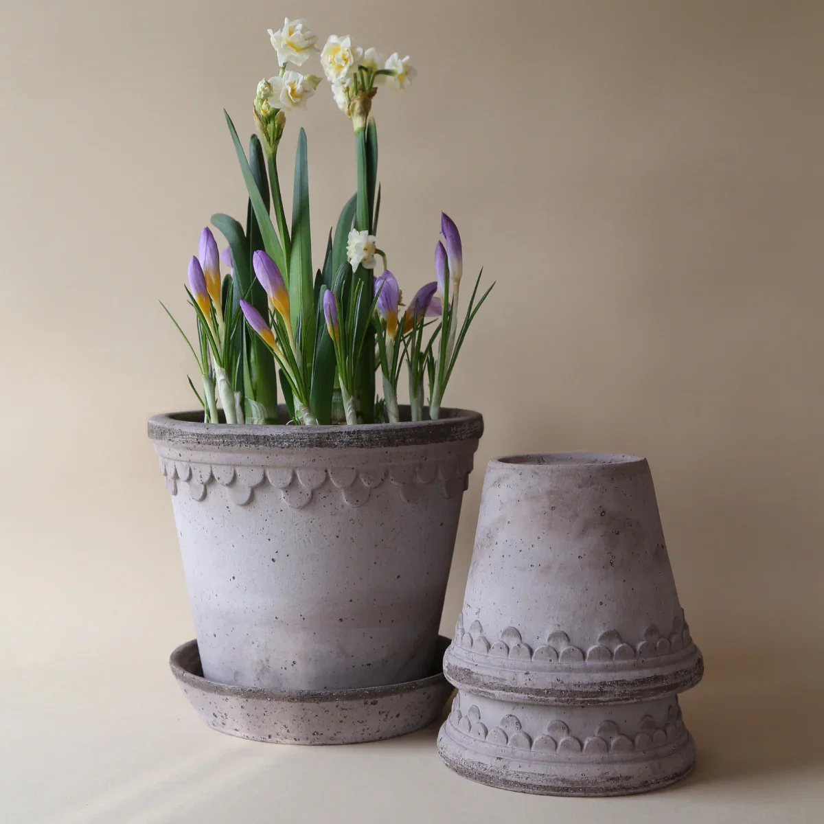 Image of Raw Grey Københavner Planter & Saucer