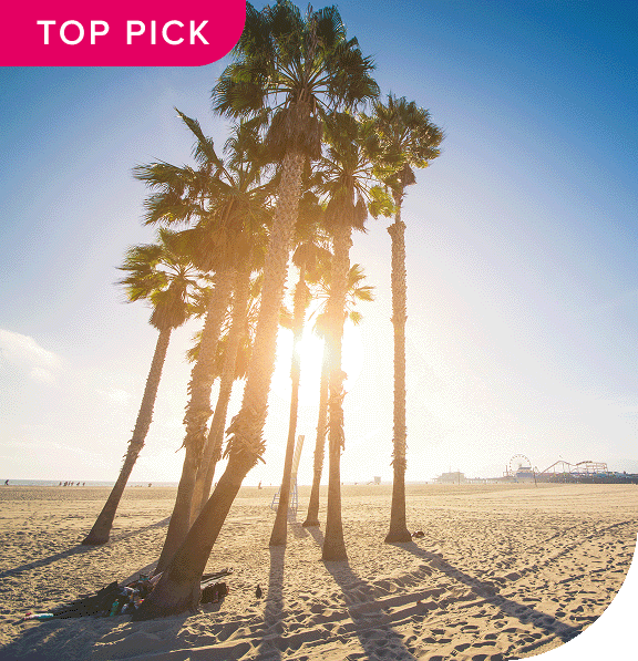 Top Pick. Palm trees on a sandy beach in Los Angeles.