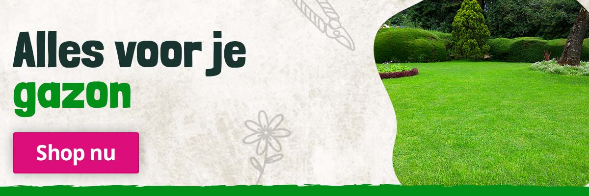 gazon-banner