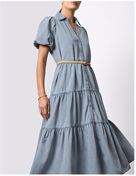 Havana Denim Dress