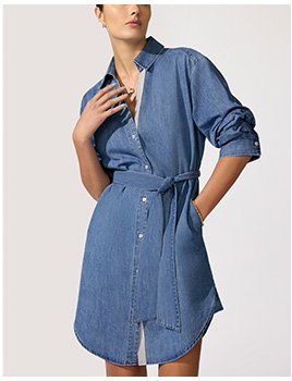 Pia Denim Dress