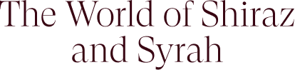 The World of Shiraz and Syrah